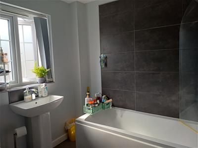 Picture 9